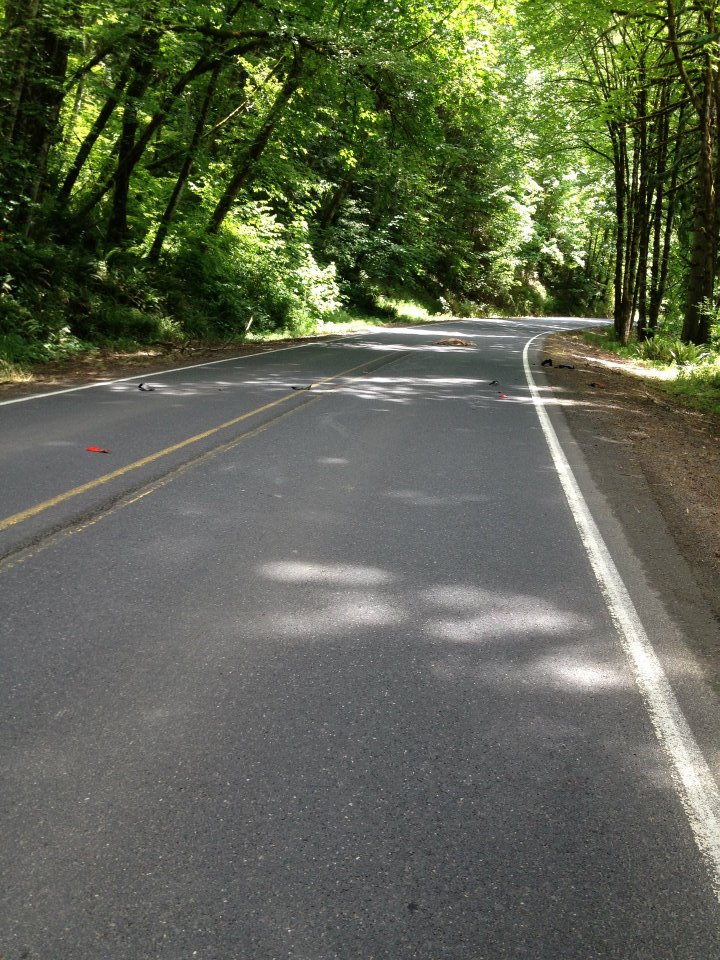 gsxr deer spot